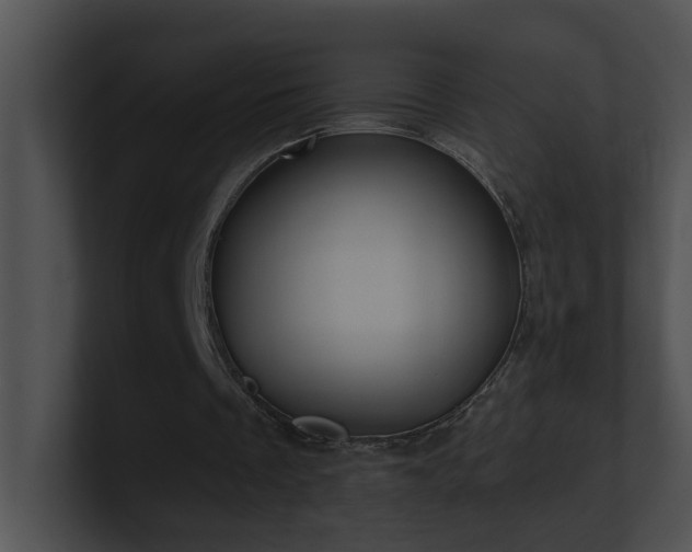 X0000100910289200806241319