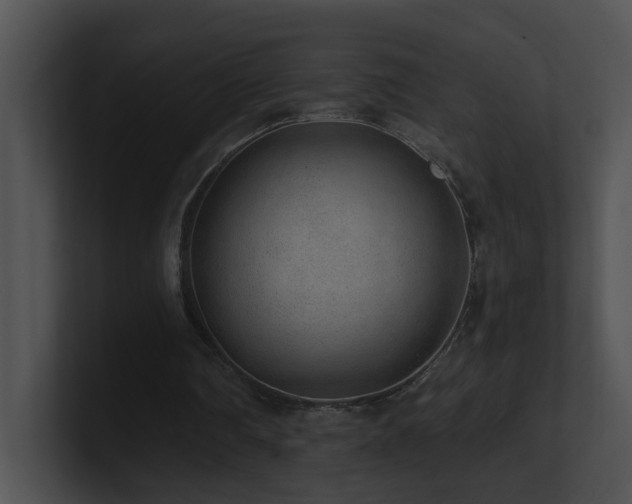 X0000100910290200806241319