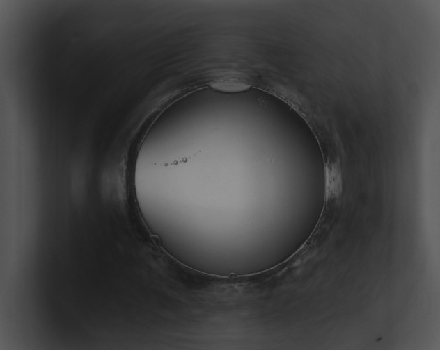 X0000100910291200806241319