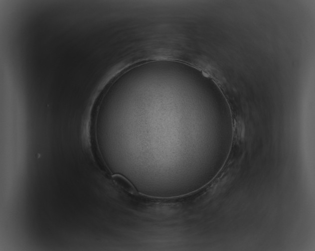 X0000100910292200806241319