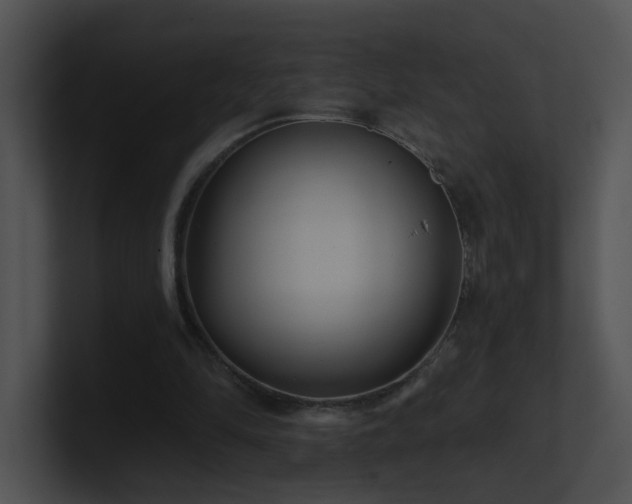 X0000100910294200806241319