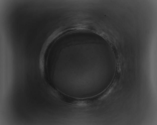 X0000100910295200806241319