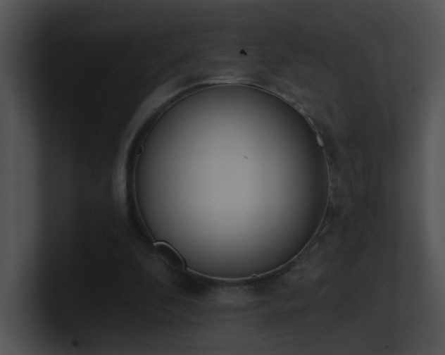 X0000100910296200806241319