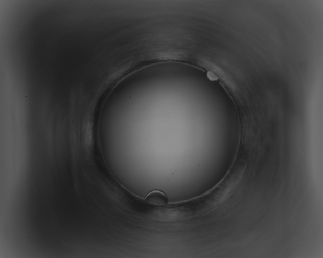 X0000100910299200806241319