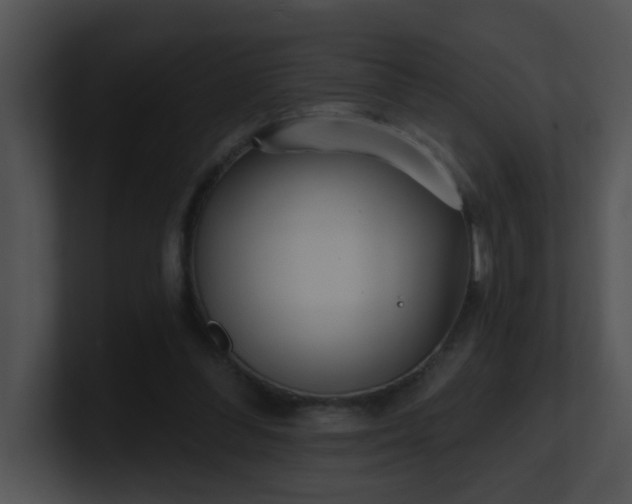 X0000100910300200806241319