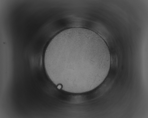 X0000100910301200806241319