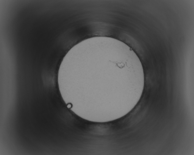X0000100910305200806241319