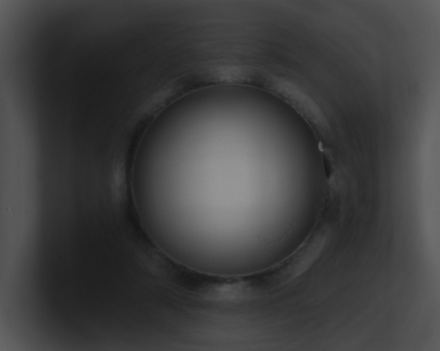 X0000100910306200806241319