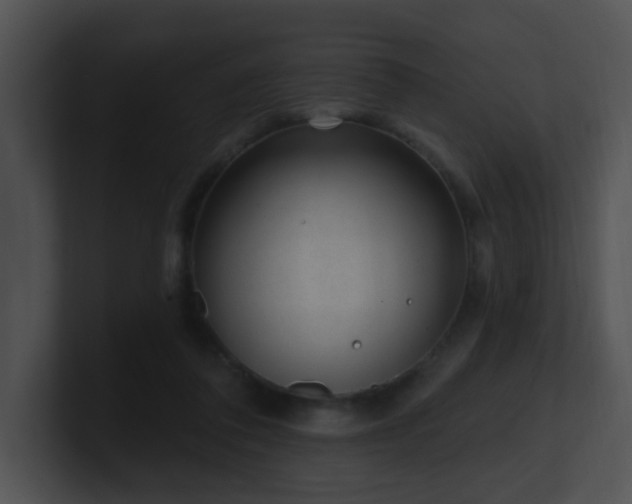 X0000100910308200806241319