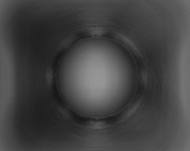 X0000100910311200806241319