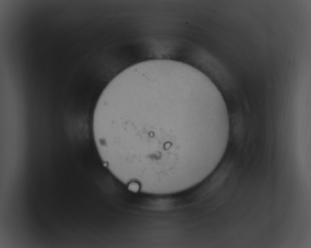 X0000100910313200806241319