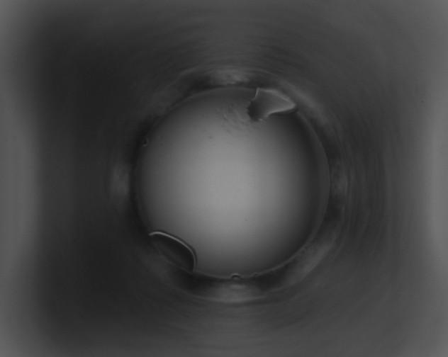 X0000100910315200806241319