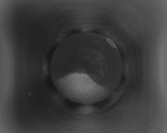 X0000100910316200806241319
