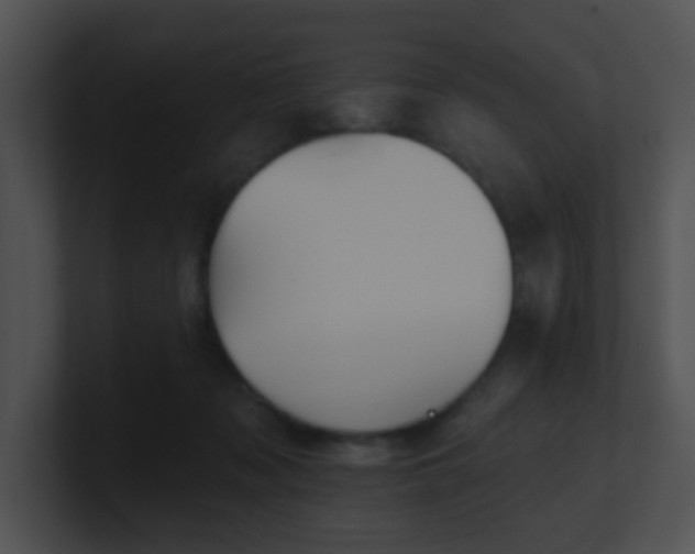 X0000100910317200806241319