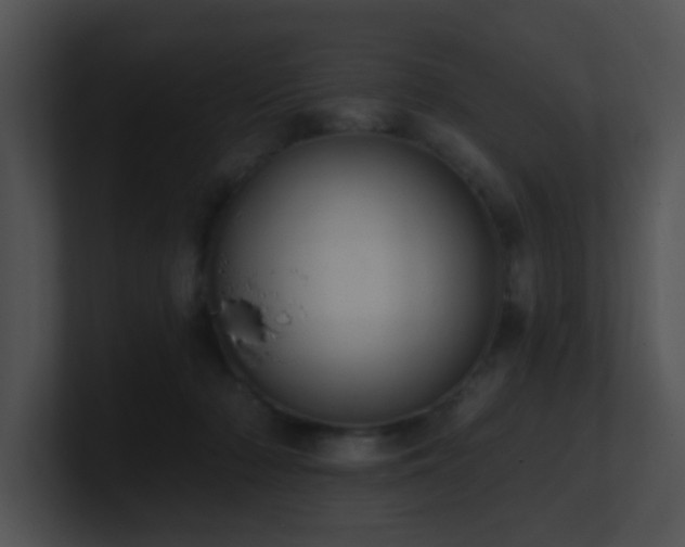 X0000100910318200806241319