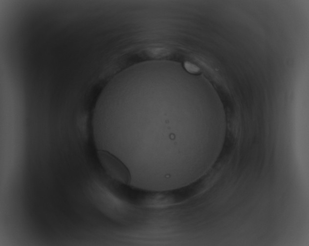 X0000100910319200806241319
