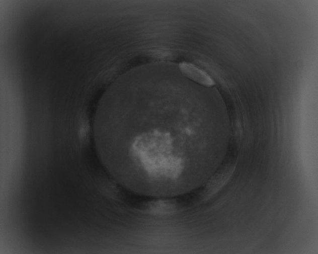 X0000100910320200806241319