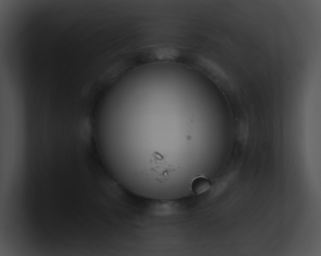 X0000100910321200806241319