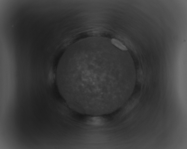 X0000100910324200806241319