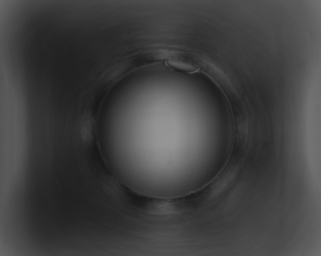 X0000100910325200806241319