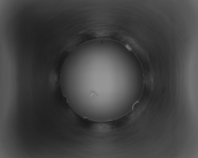X0000100910327200806241318