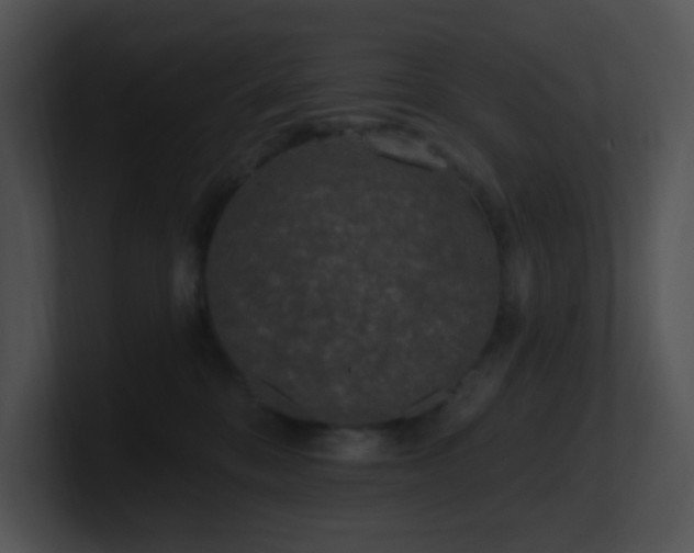 X0000100910328200806241318