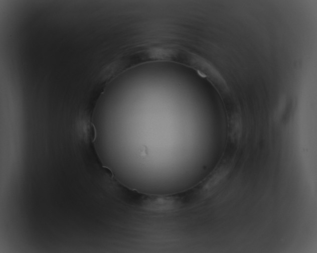 X0000100910329200806241318