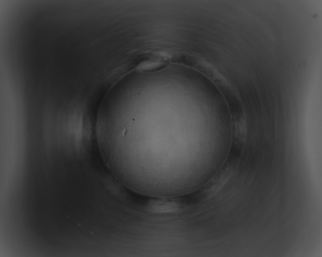 X0000100910331200806241318