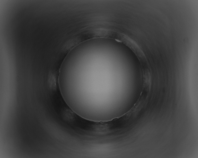X0000100910333200806241318