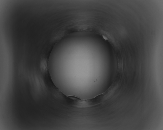 X0000100910335200806241318