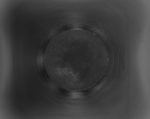 X0000100910336200806241318