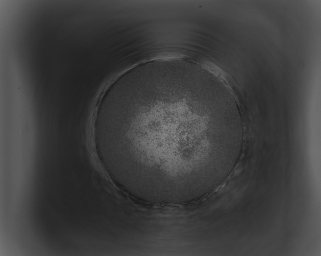 X0000100910337200806241318