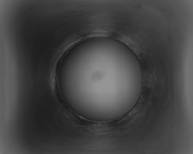 X0000100910338200806241318