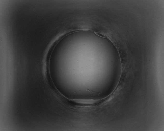 X0000100910342200806241318