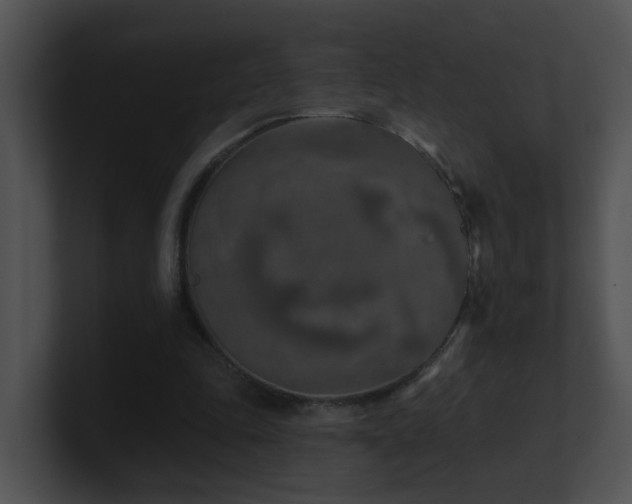 X0000100910343200806241318