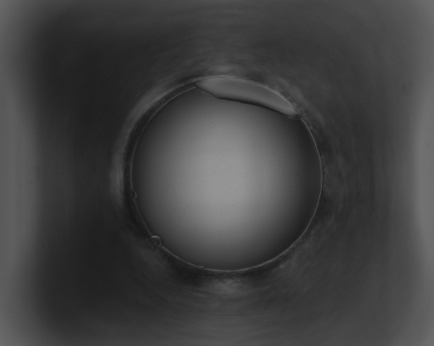 X0000100910344200806241318