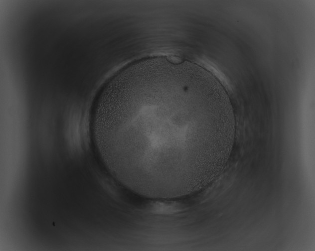 X0000100910346200806241318