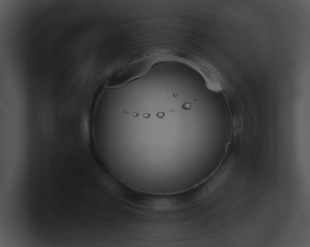 X0000100910349200806241318