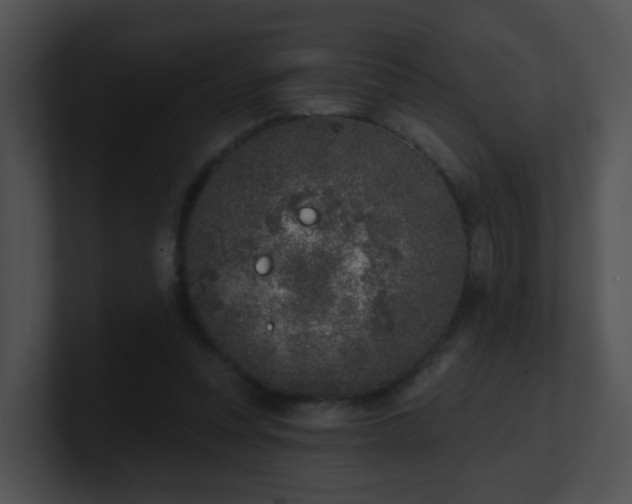 X0000100910351200806241318
