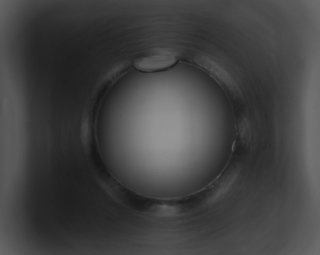 X0000100910352200806241318