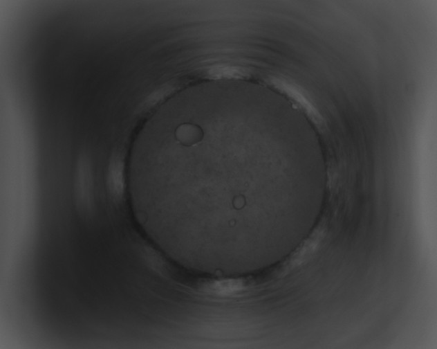 X0000100910353200806241318