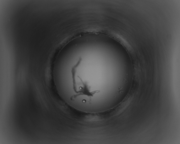 X0000100910354200806241318