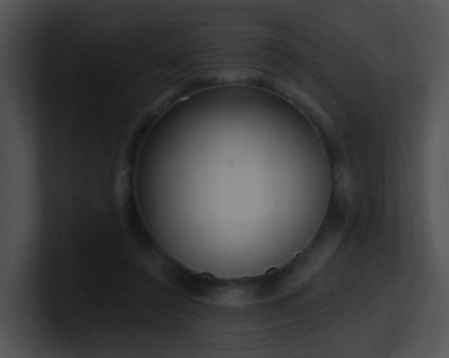 X0000100910356200806241318