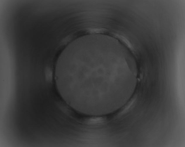 X0000100910357200806241318