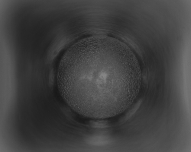X0000100910359200806241318