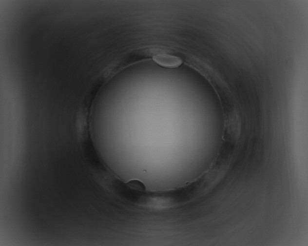 X0000100910360200806241318