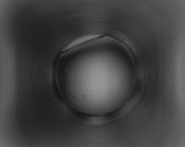 X0000100910362200806241318