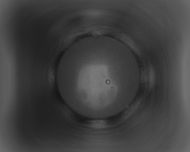 X0000100910363200806241318