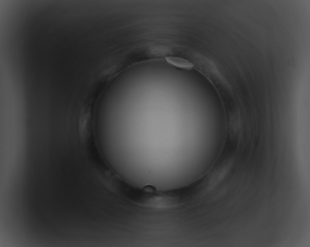 X0000100910364200806241318