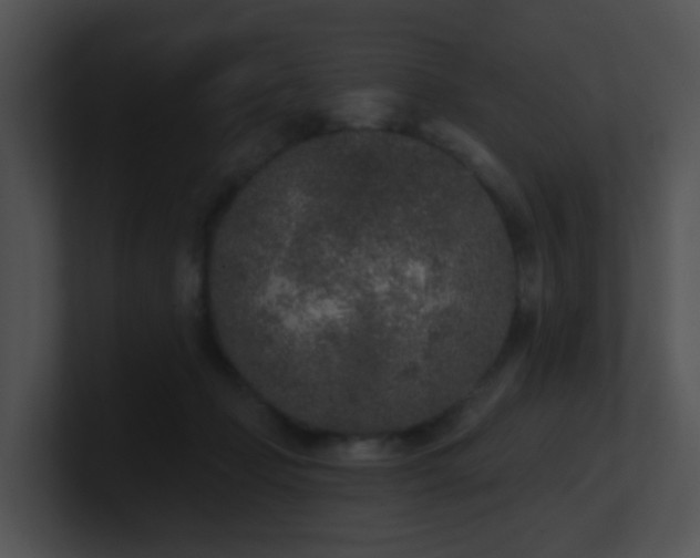 X0000100910365200806241318